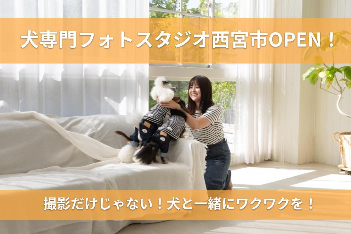 COFFEEJACK本体◇Campfireクラファン分 COFFEEJACK本体◇Campfireクラファン分 COFFEEJACK™】ポケット