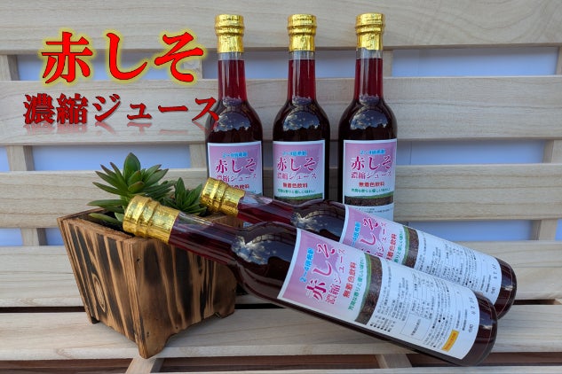 大分から産地直送！！自家栽培の赤紫蘇で作った赤しそ濃縮ジュース