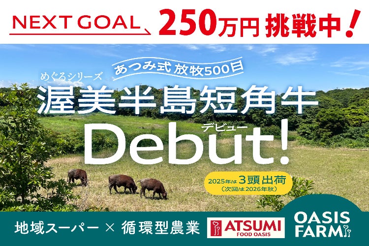 耕作放棄地で「あつみ式放牧500日」。渥美半島短角牛デビュー 