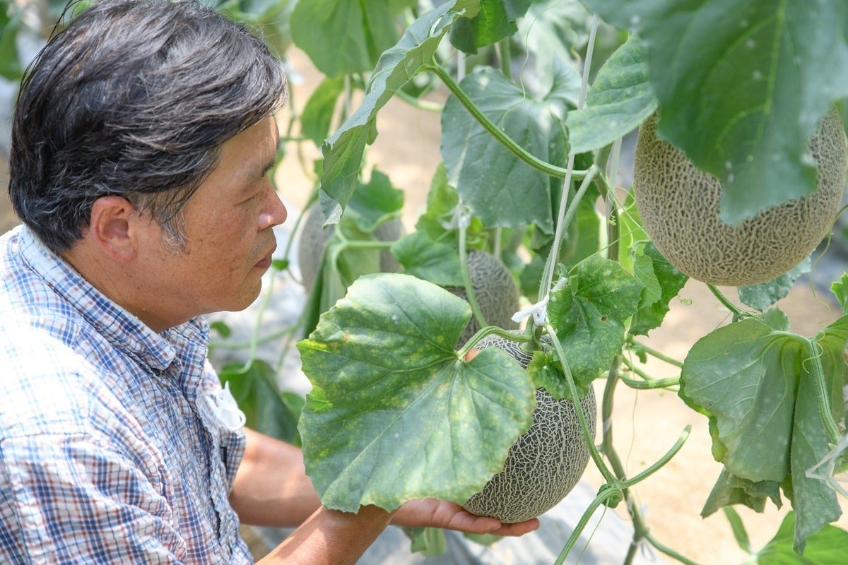 3番目のメイン画像