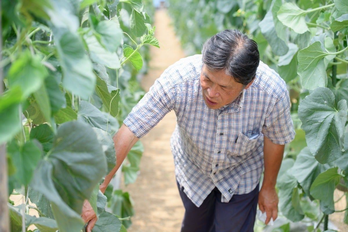 2番目のメイン画像