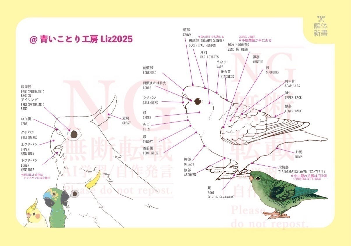 染付け鳥図 古美術 古染付灌木に鳥 | しぶや黒田陶苑