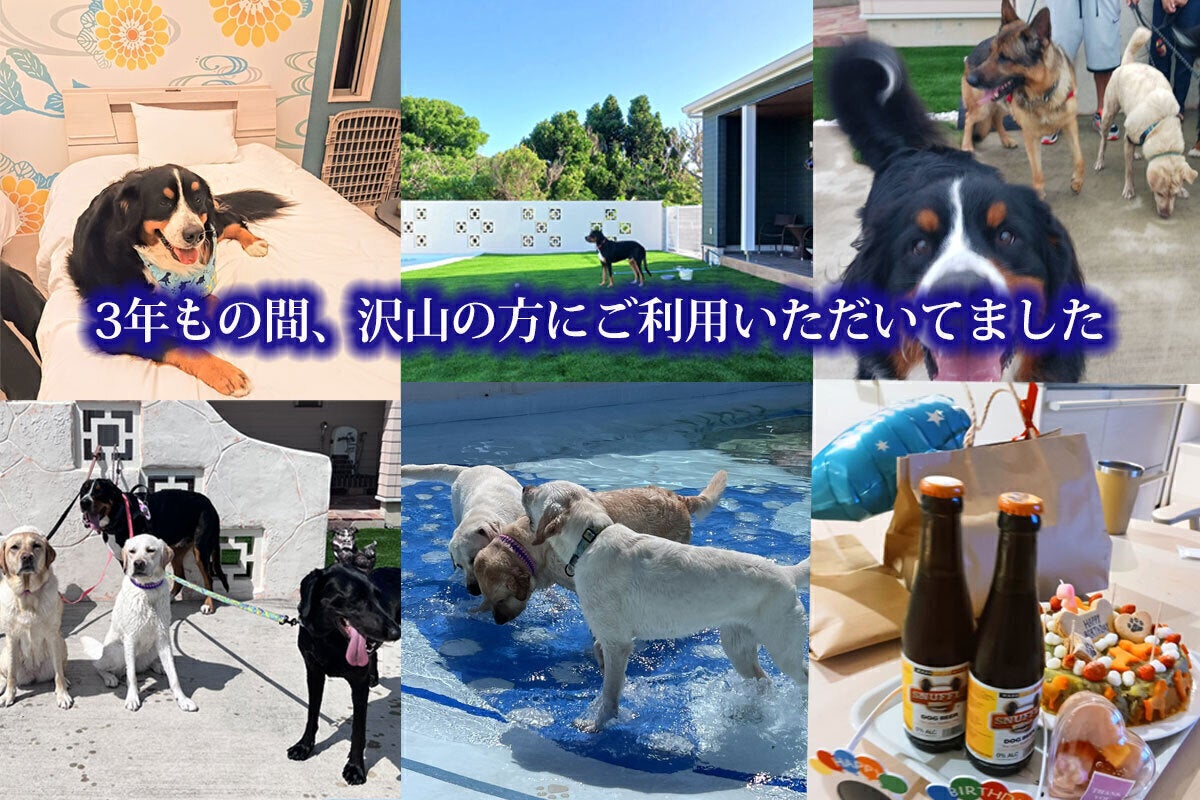 沖縄初ドッグリゾート「わんそーれおきなわ古宇利島」の火災復興＃わん