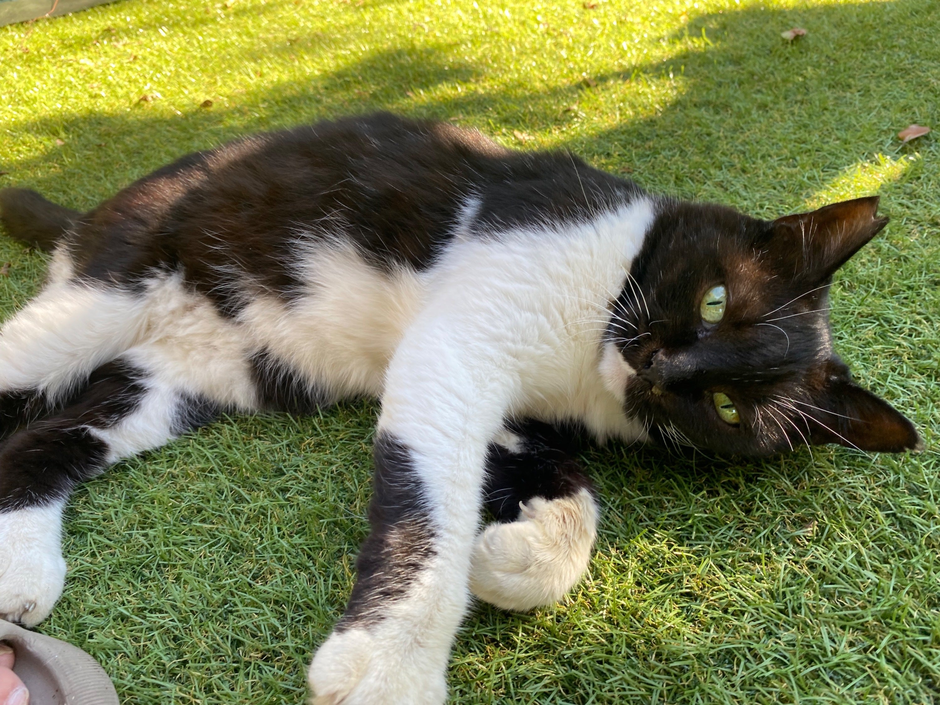 3番目のメイン画像