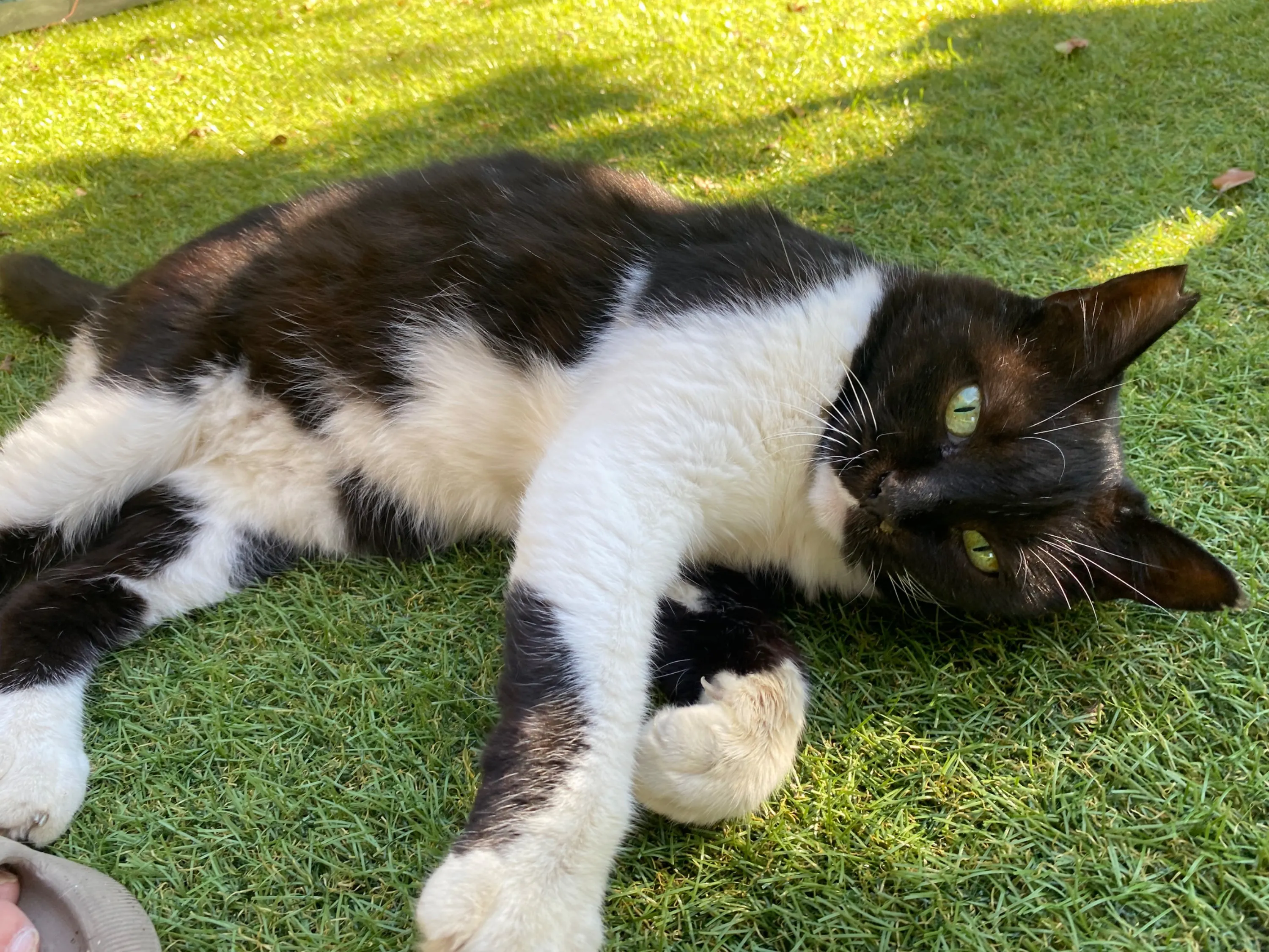 3番目のメイン画像