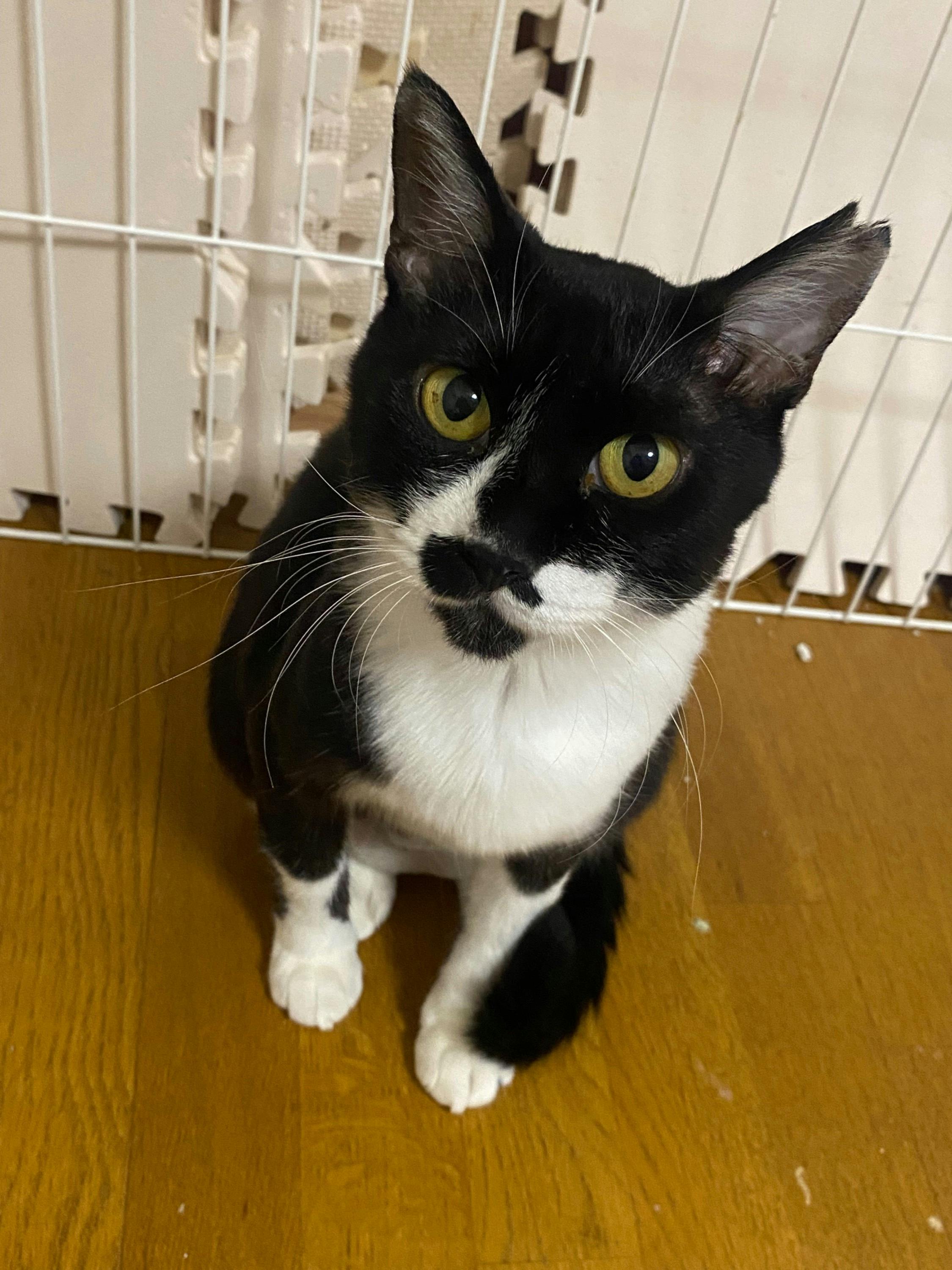 4番目のメイン画像