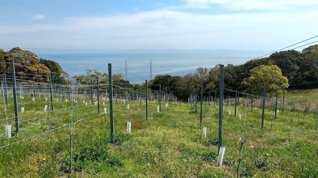 2番目のメイン画像