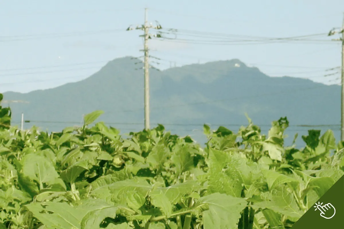 3番目のメイン画像