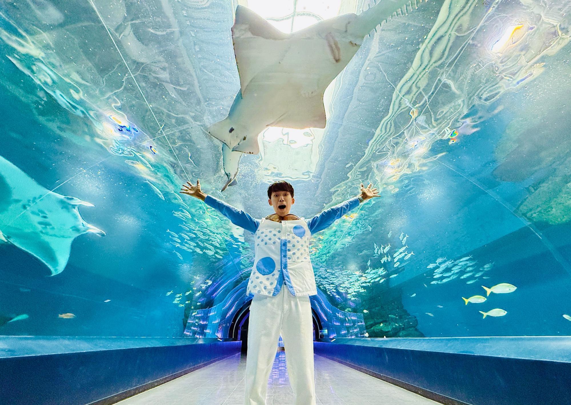 北海道水族館ツアー動画第一弾、完成！！！ - CAMPFIRE (キャンプ
