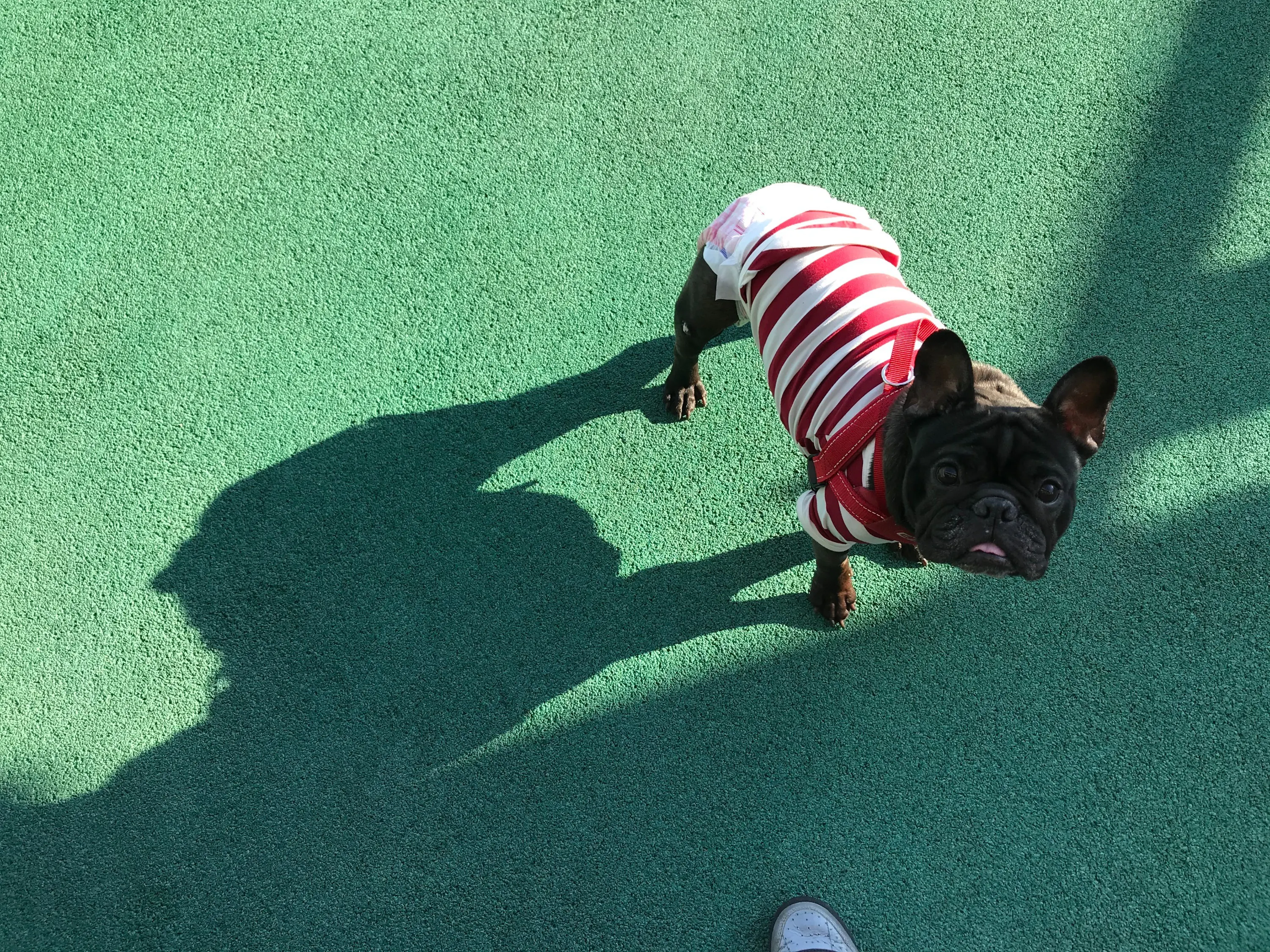 5番目のメイン画像