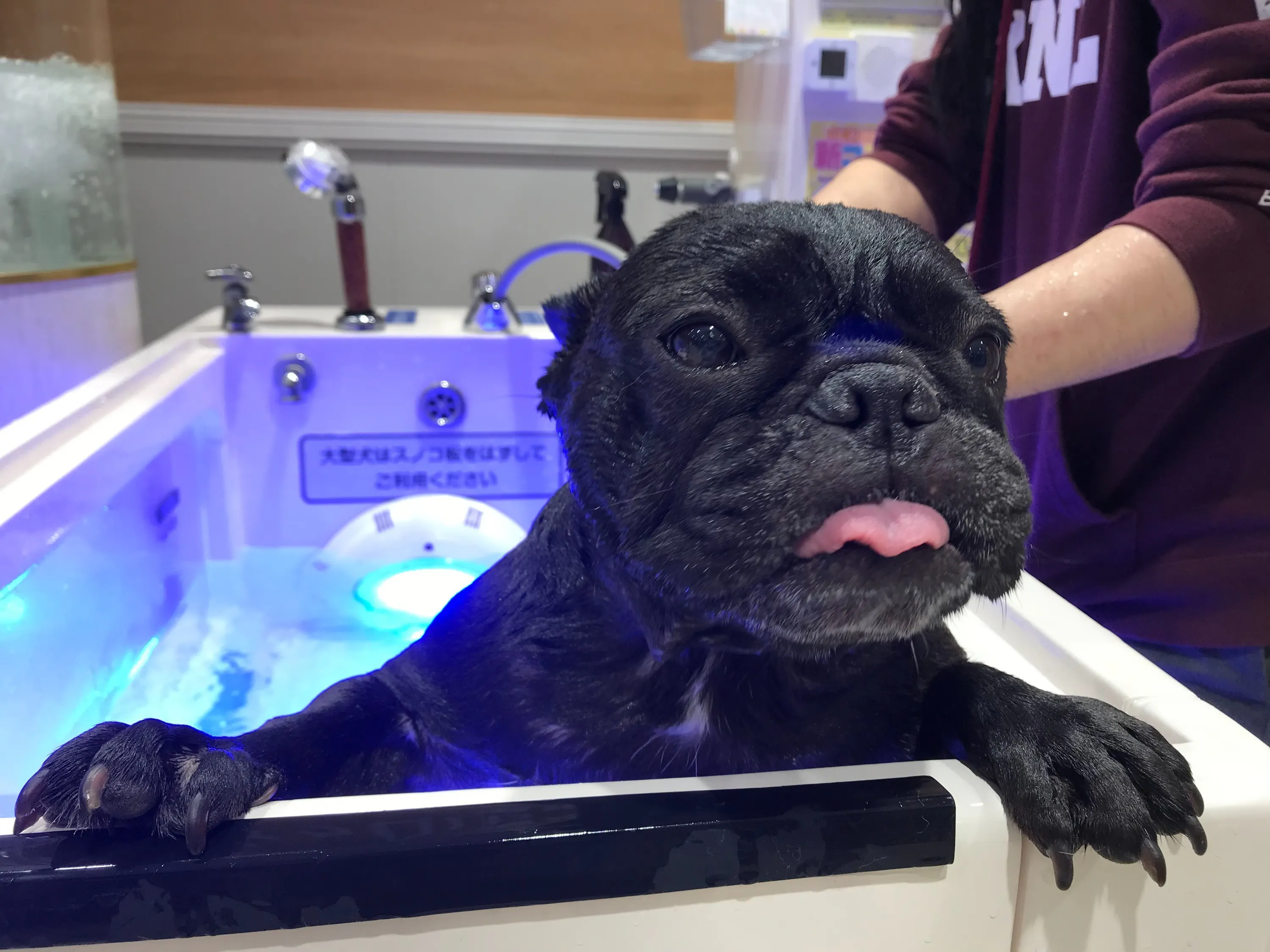 4番目のメイン画像