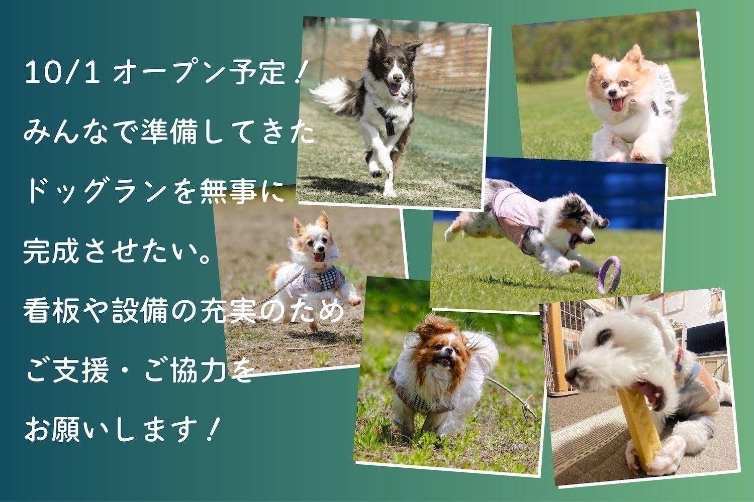 5番目のメイン画像