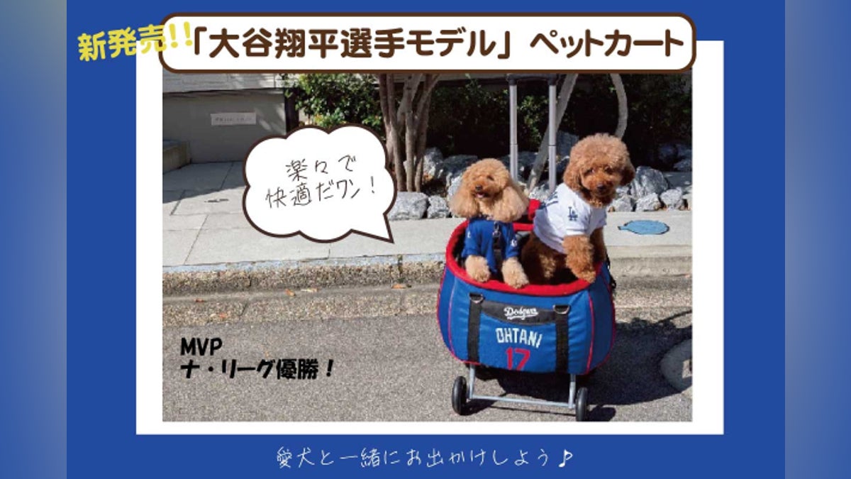 12月入荷予定!「大谷翔平選手最新モデル」ペットカートを日本中へお 12月入荷予定!「大谷翔平選手最新モデル」ペットカートを日本中へお