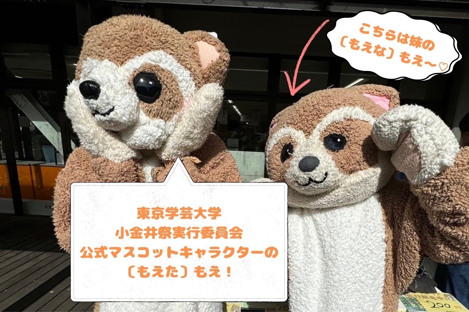 2番目のメイン画像