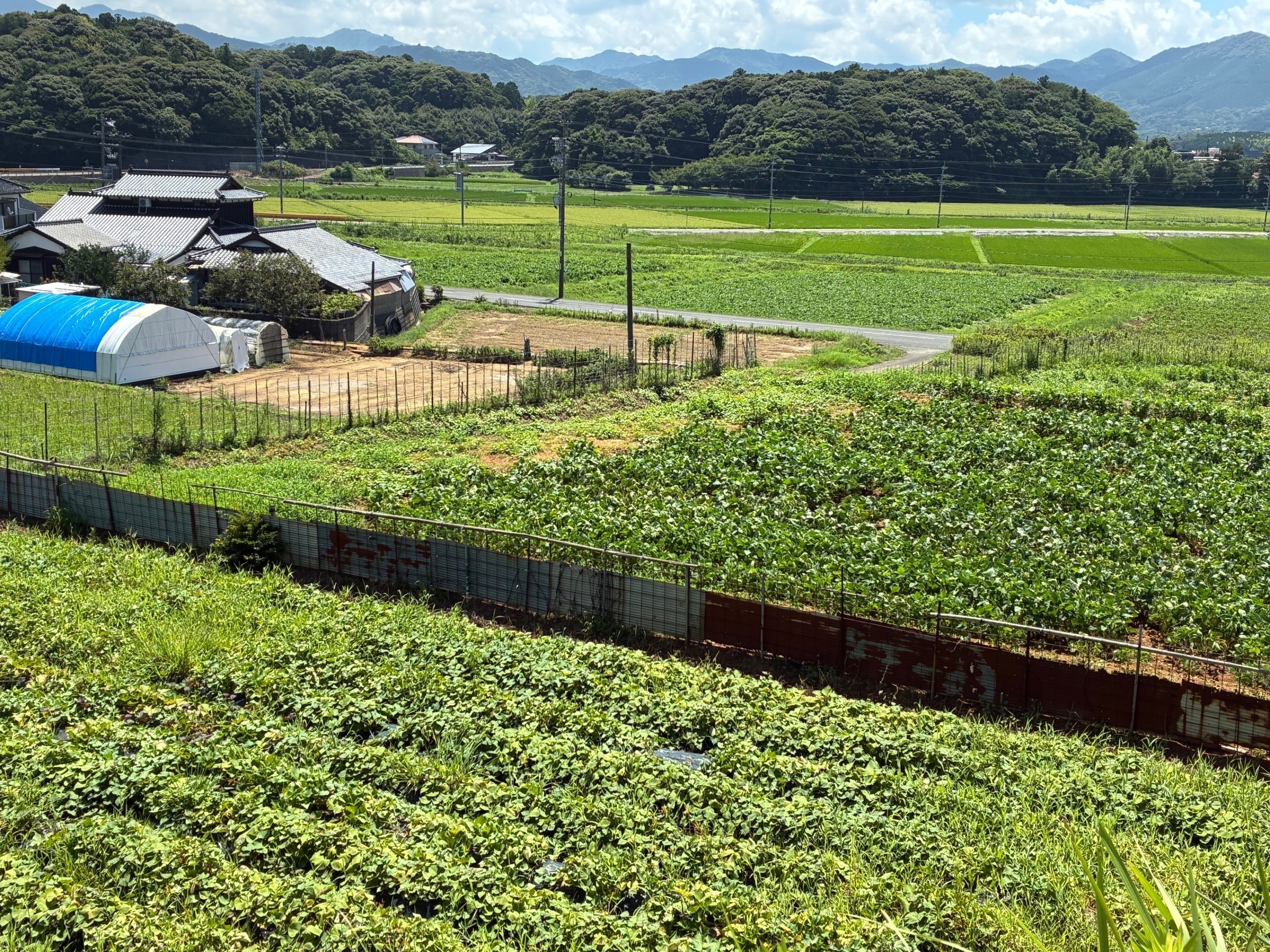 2番目のメイン画像
