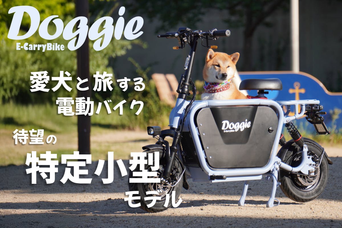 CAMPFIRE掲載のDoggie特定小型原付モデルのメイン画像