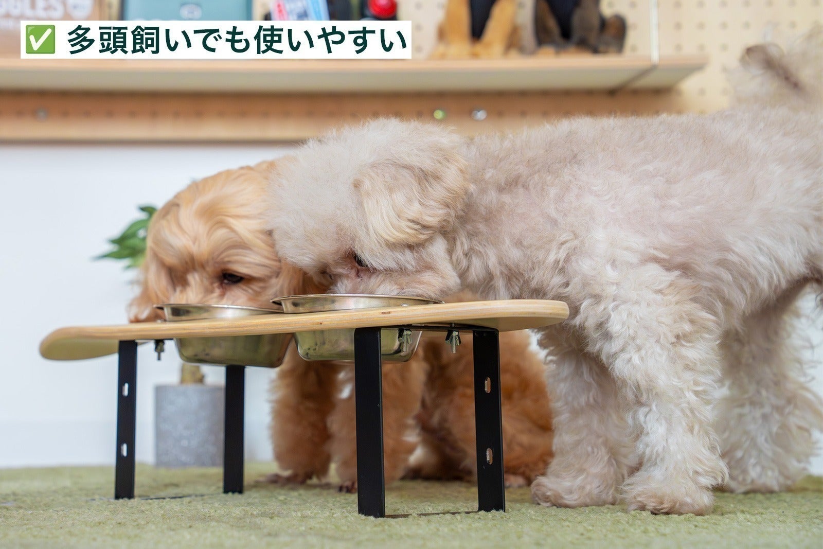 ペットの食事姿勢を向上】カスタムできるフードスタンド - CAMPFIRE