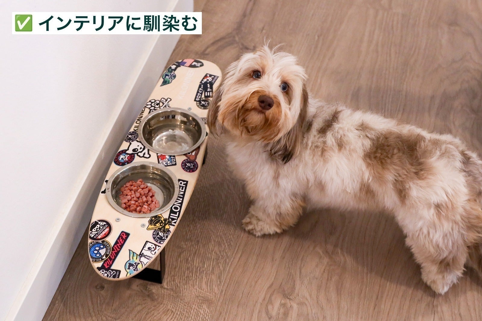 ペットの食事姿勢を向上】カスタムできるフードスタンド - CAMPFIRE
