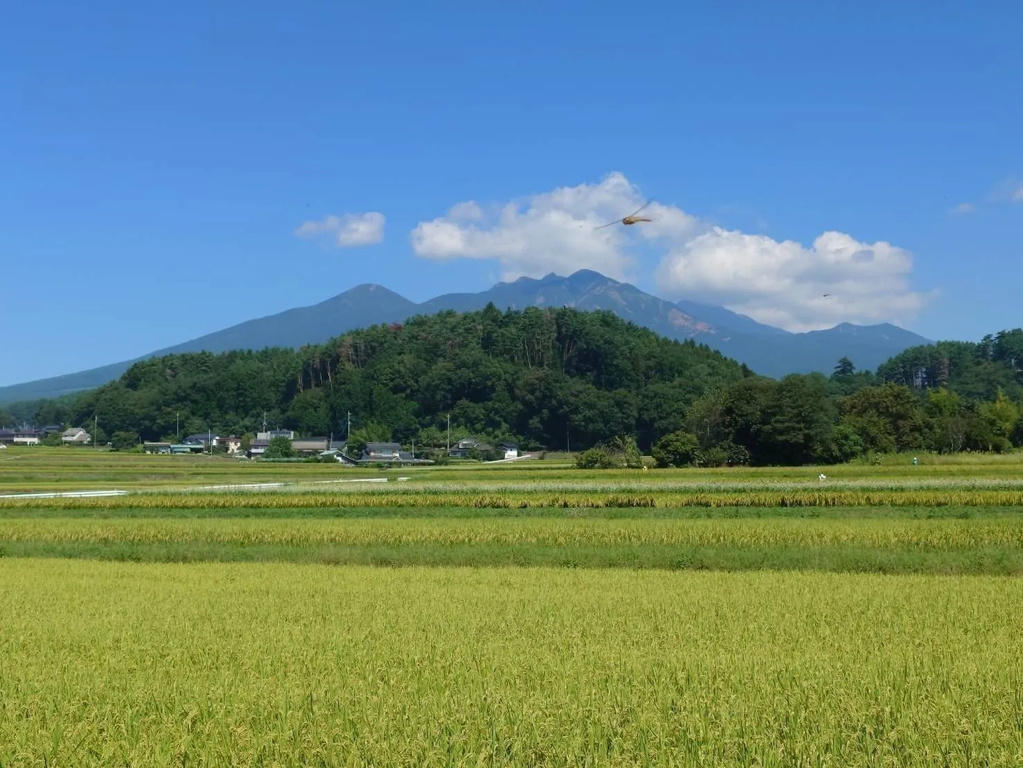 4番目のメイン画像