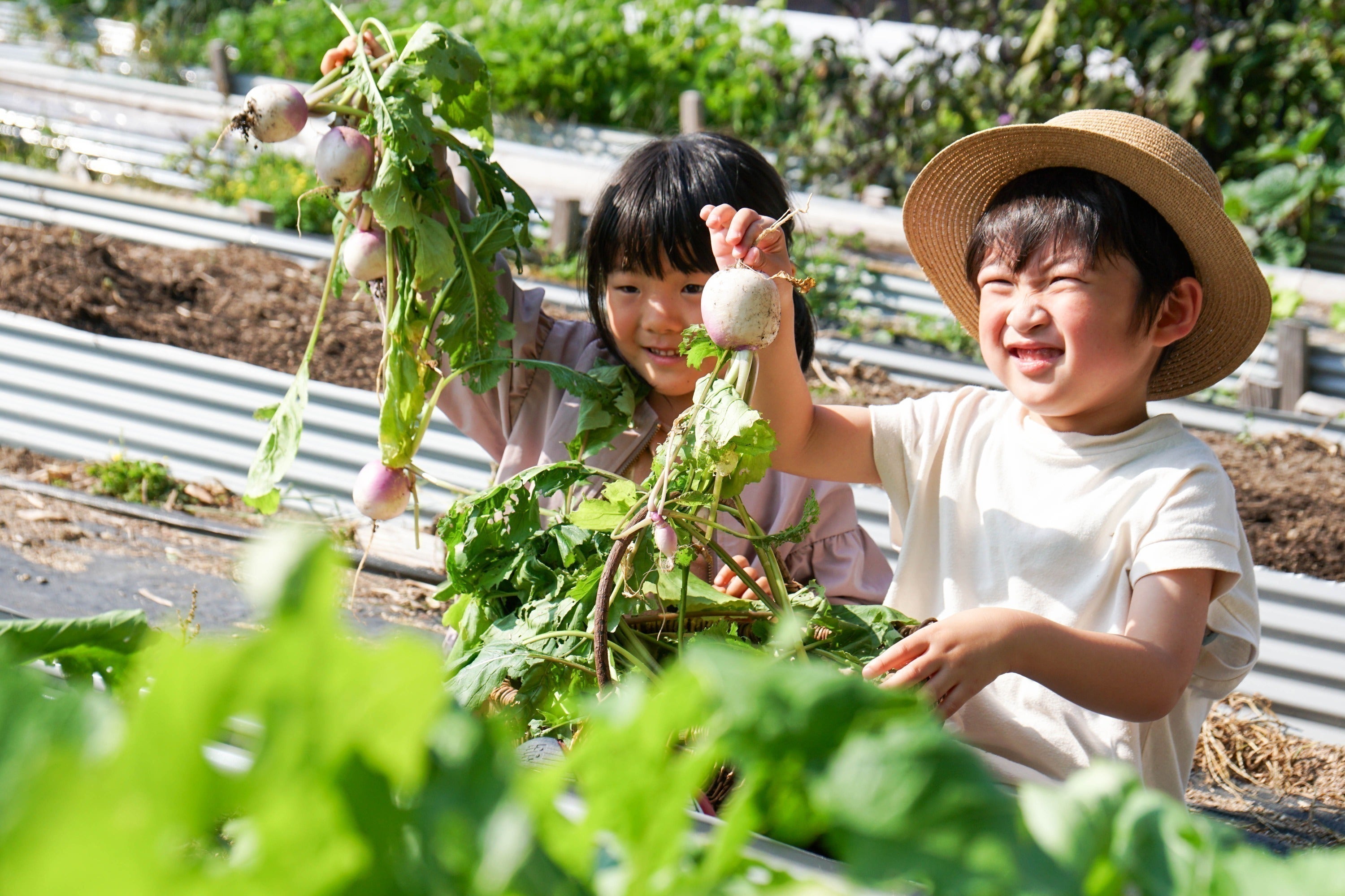 3番目のメイン画像
