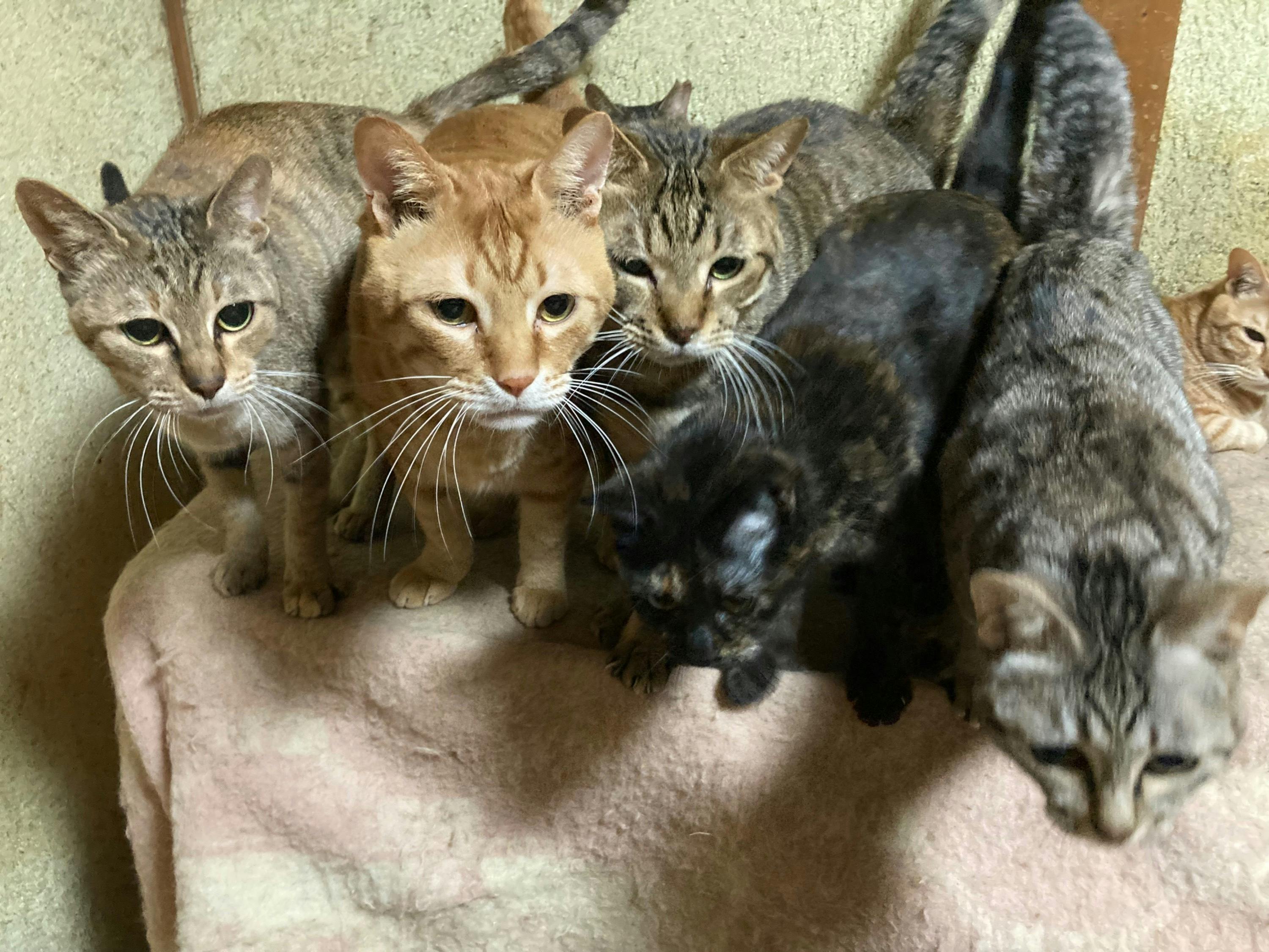 4番目のメイン画像