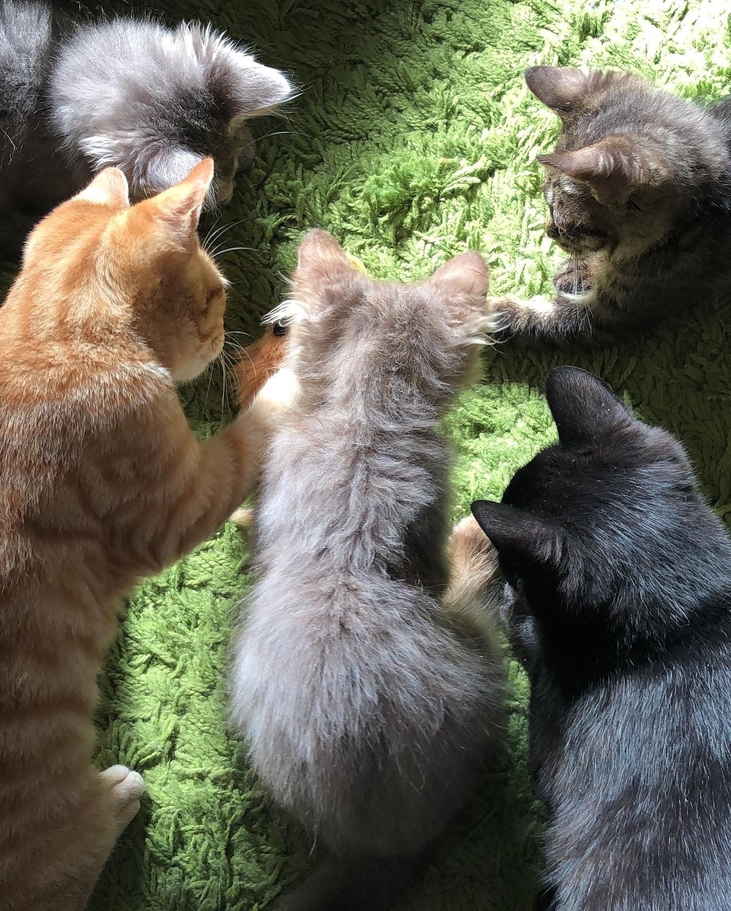 5番目のメイン画像