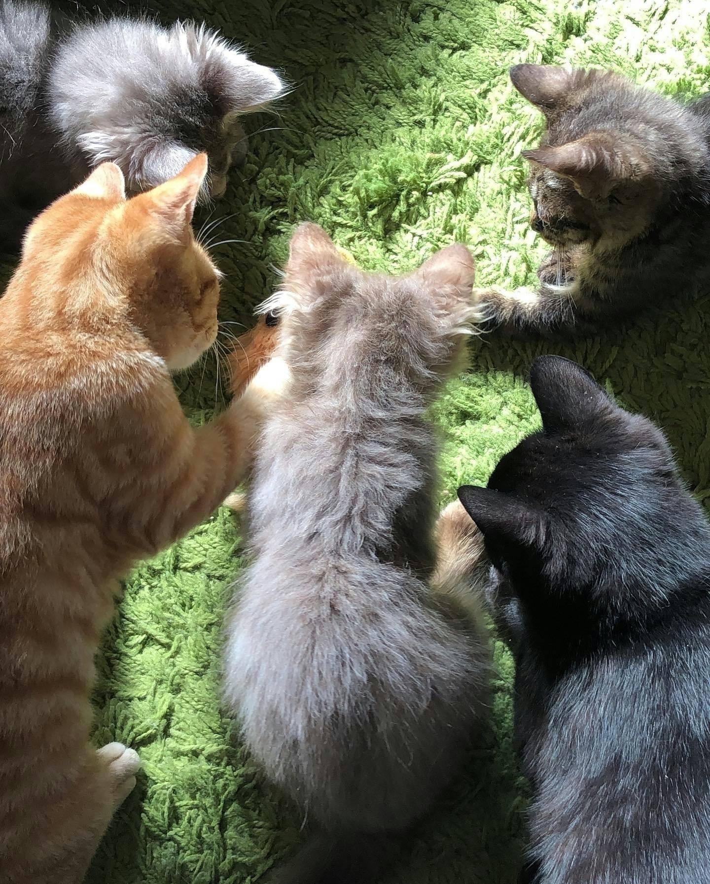 5番目のメイン画像