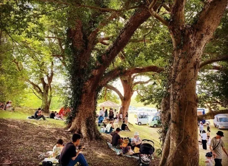 4番目のメイン画像