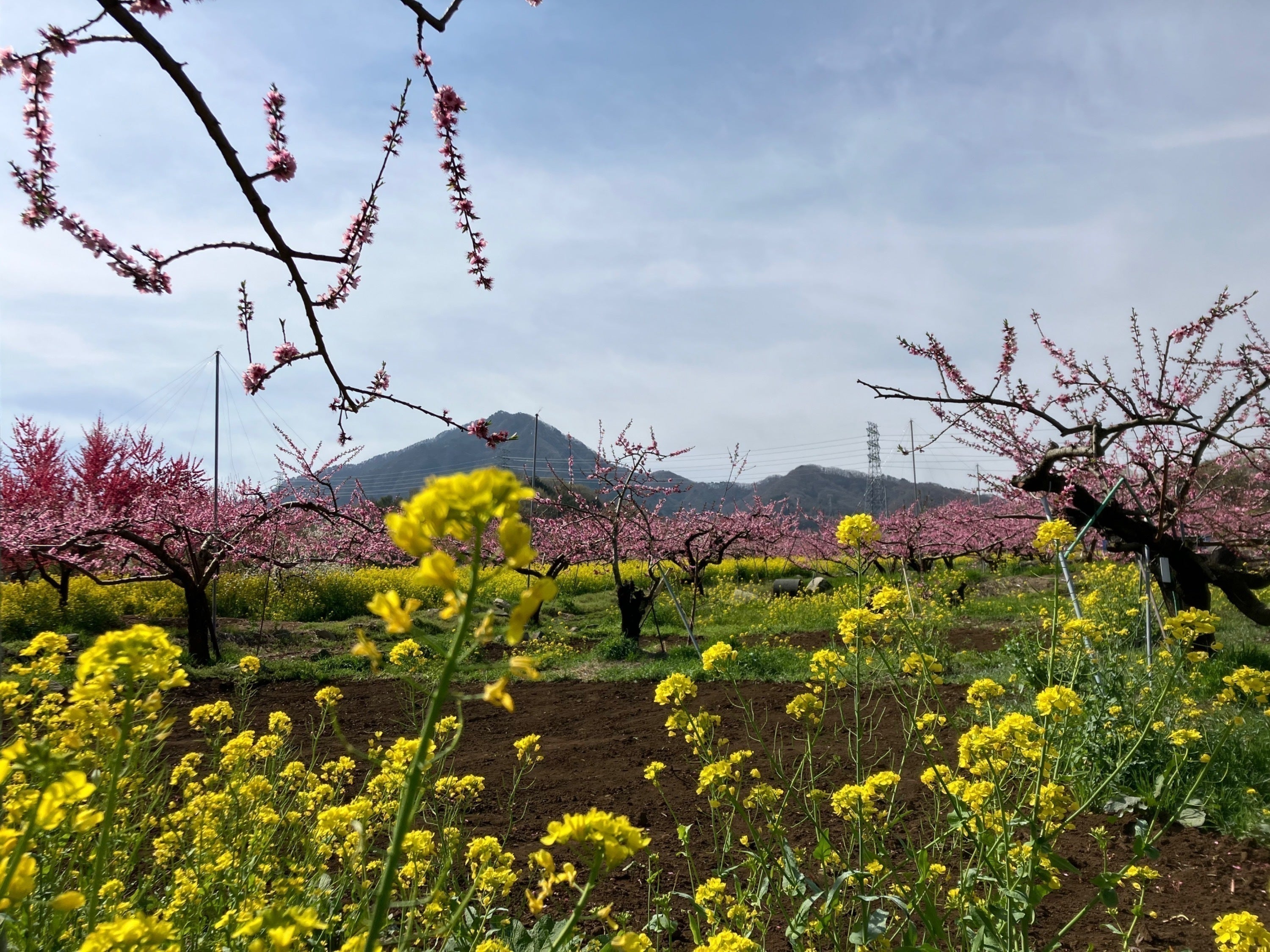 4番目のメイン画像