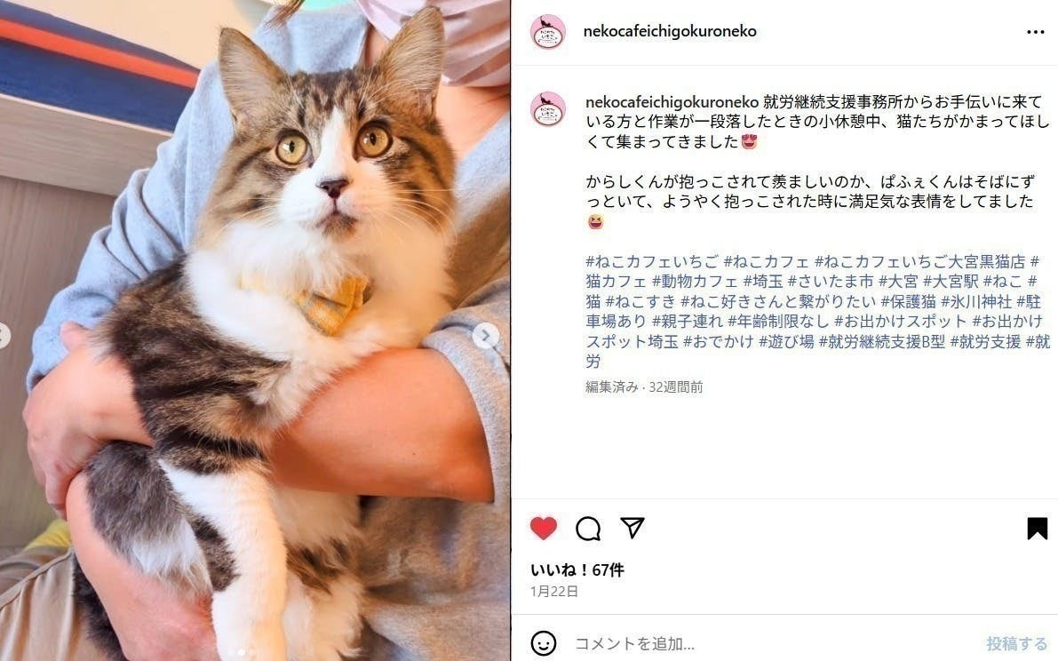 5番目のメイン画像