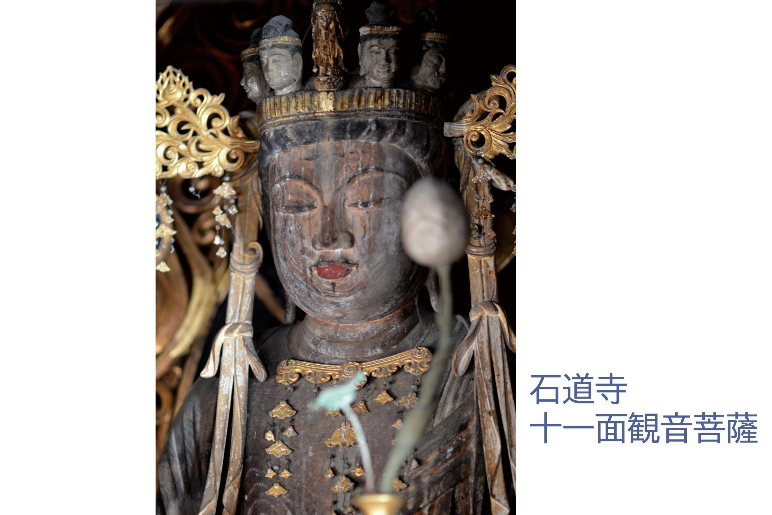 観音の里のルーツ 己高山に残る史跡を守りそれを結ぶトレッキング