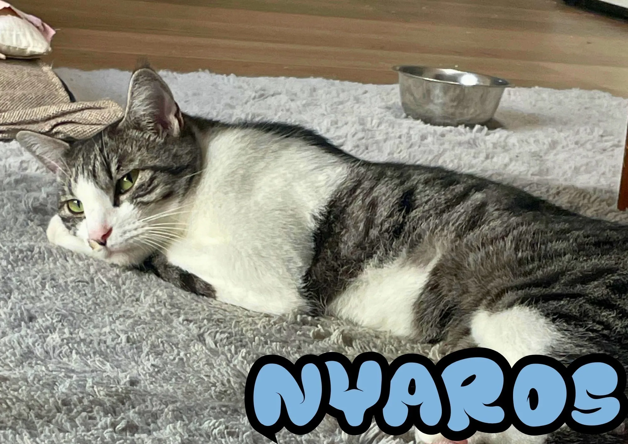 4番目のメイン画像