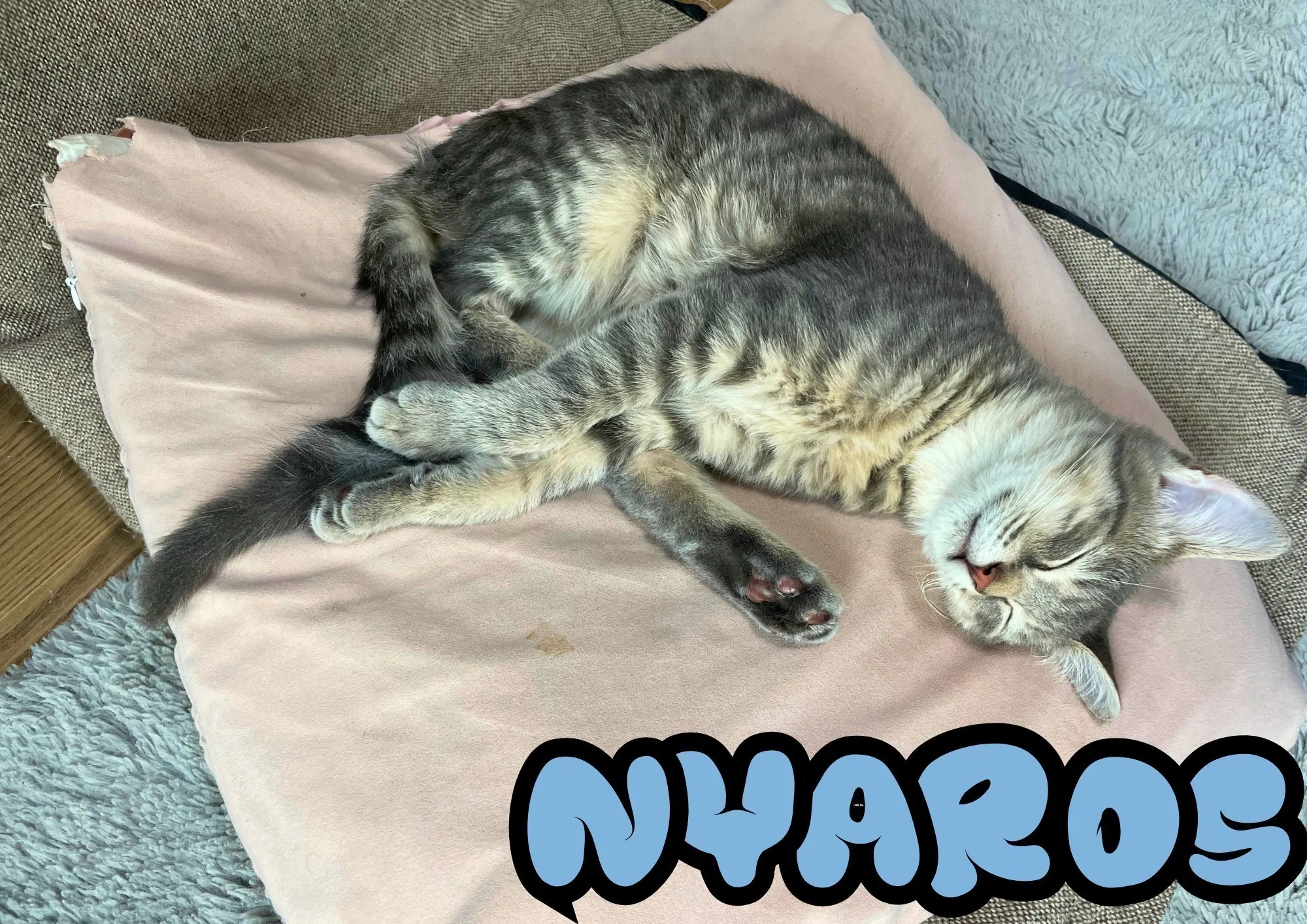 2番目のメイン画像