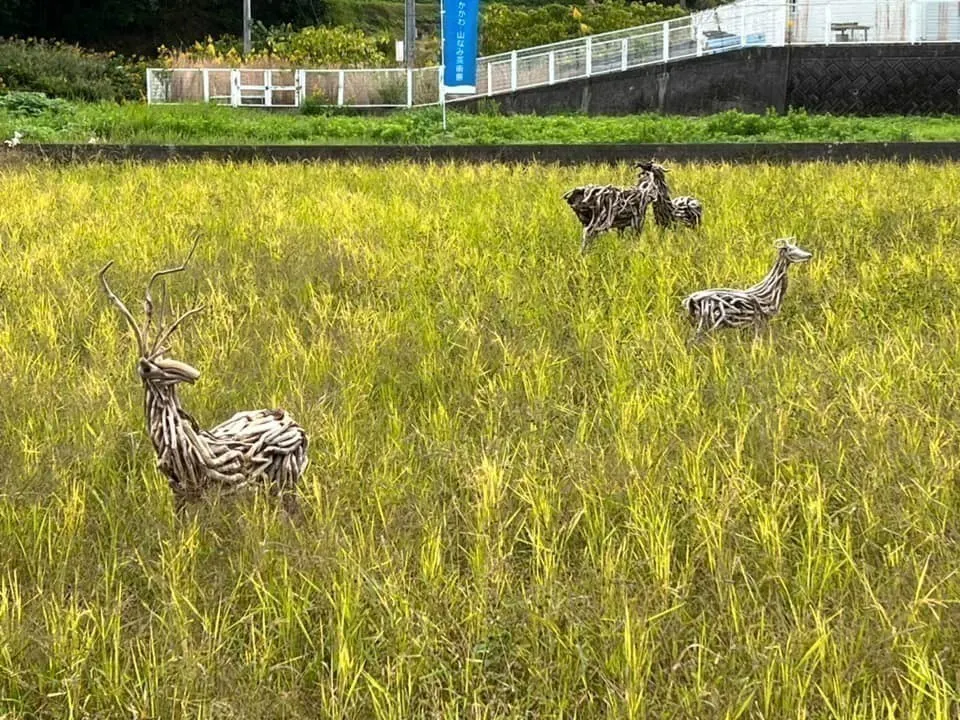 4番目のメイン画像