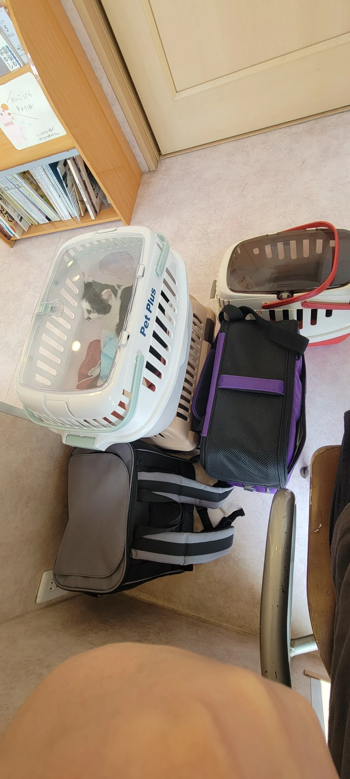 5番目のメイン画像