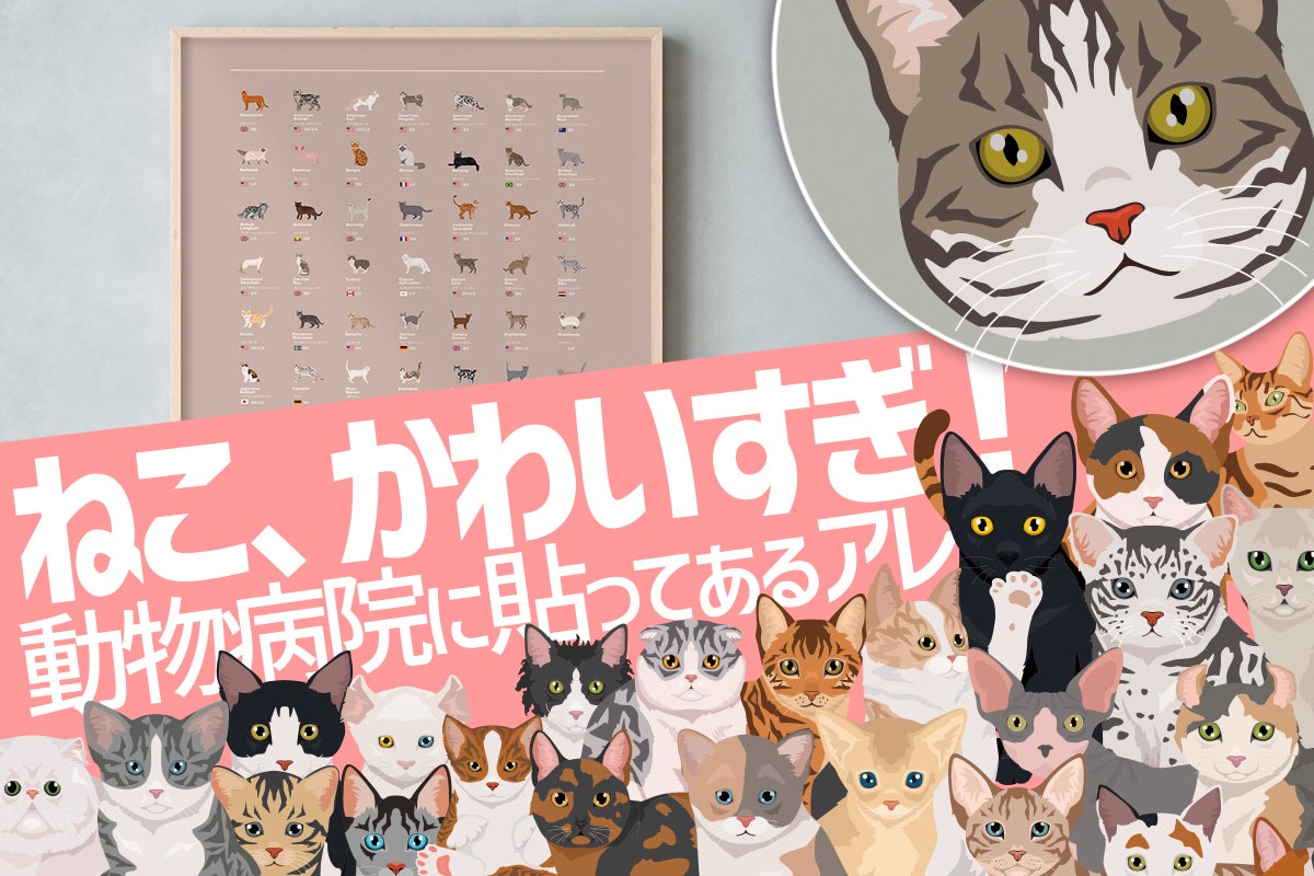 ききねこ@ご購入前必ずプロフ確認願います様 リクエスト 2点 まとめ商品