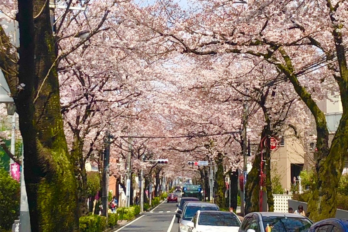 1番目のメイン画像