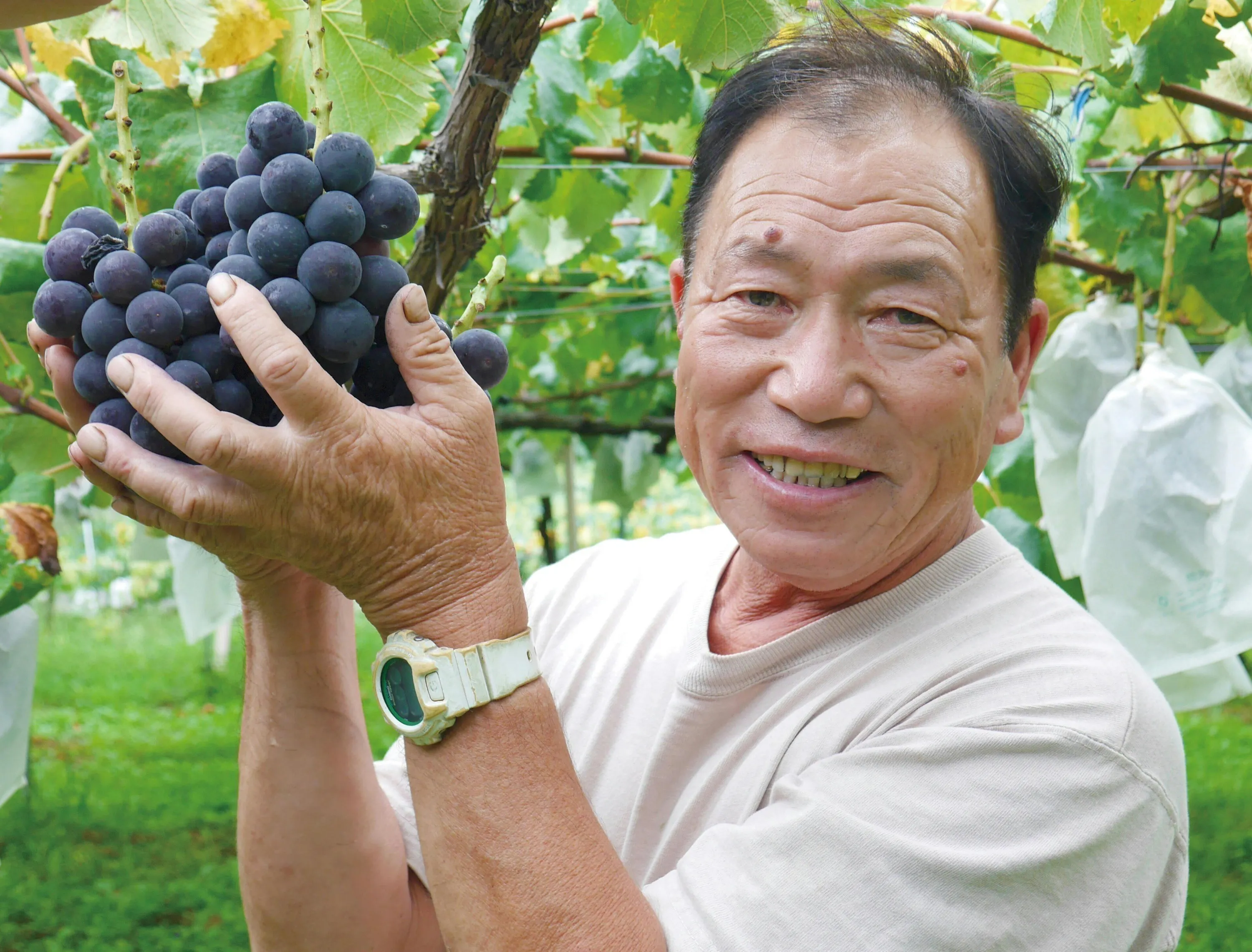 5番目のメイン画像