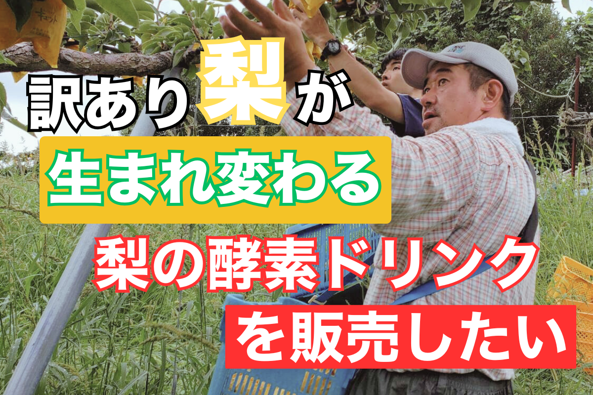 梨　再出品分 訳あり梨が生まれ変わる！梨の酵素ドリンクを販売したい。 - CAMPFIRE