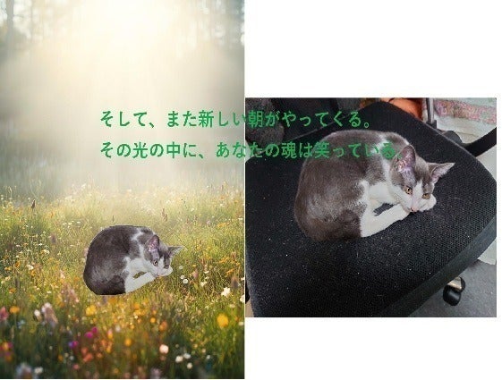 3番目のメイン画像