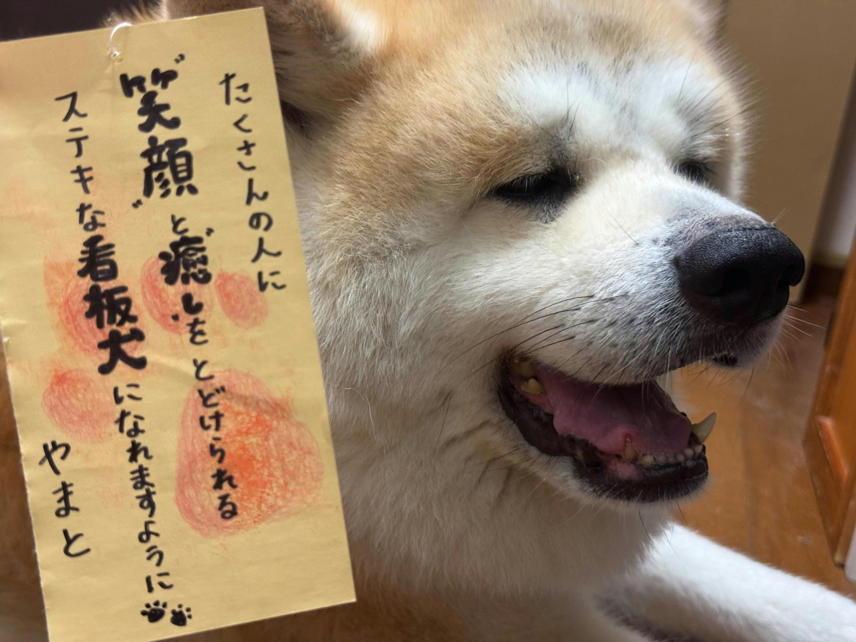 5番目のメイン画像