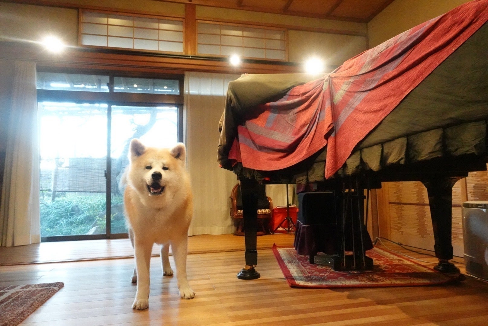 2番目のメイン画像