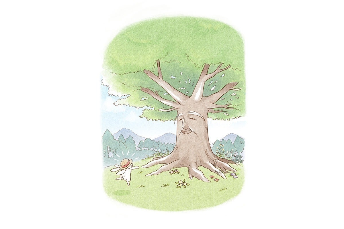 5番目のメイン画像