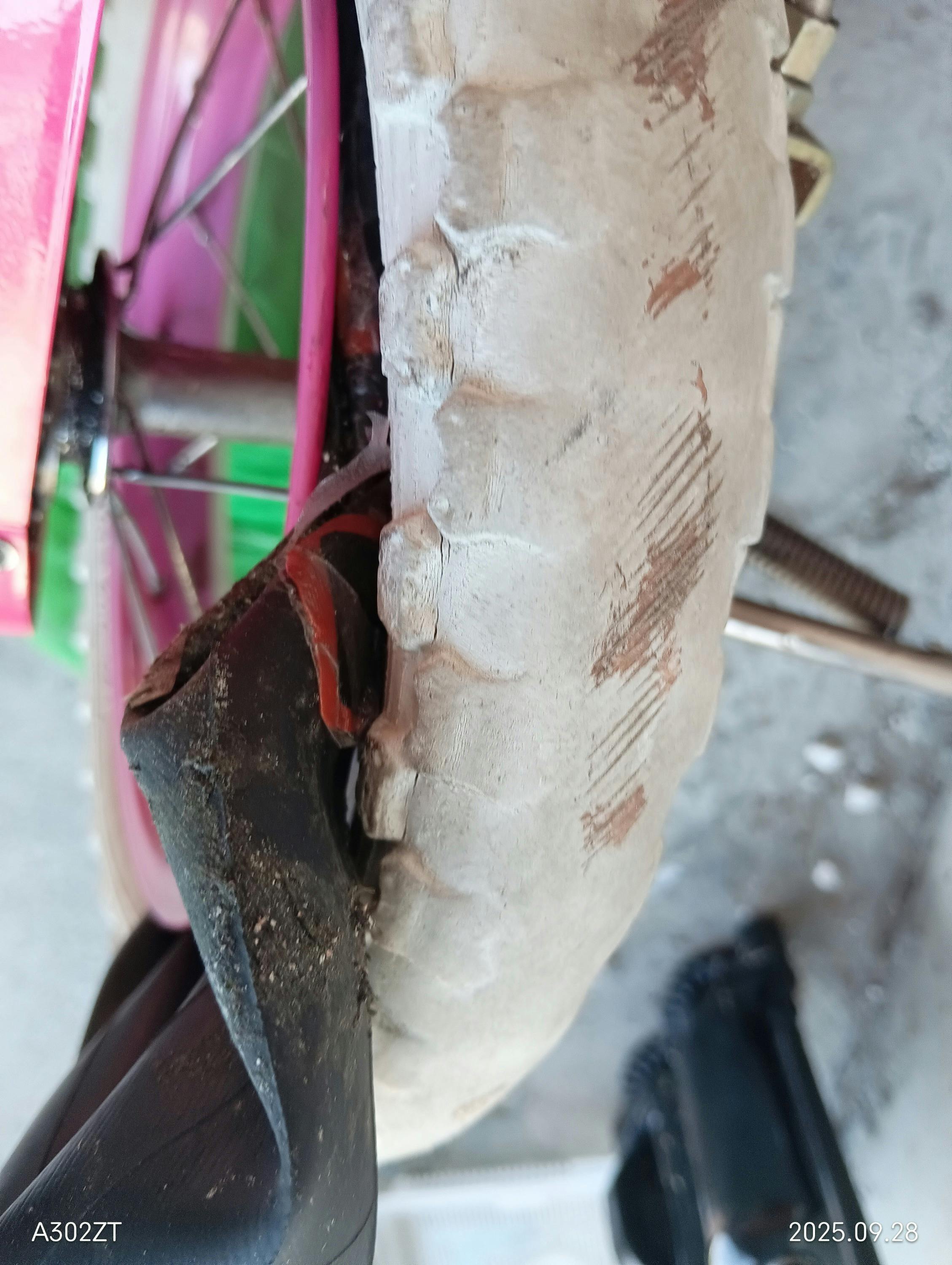 4番目のメイン画像