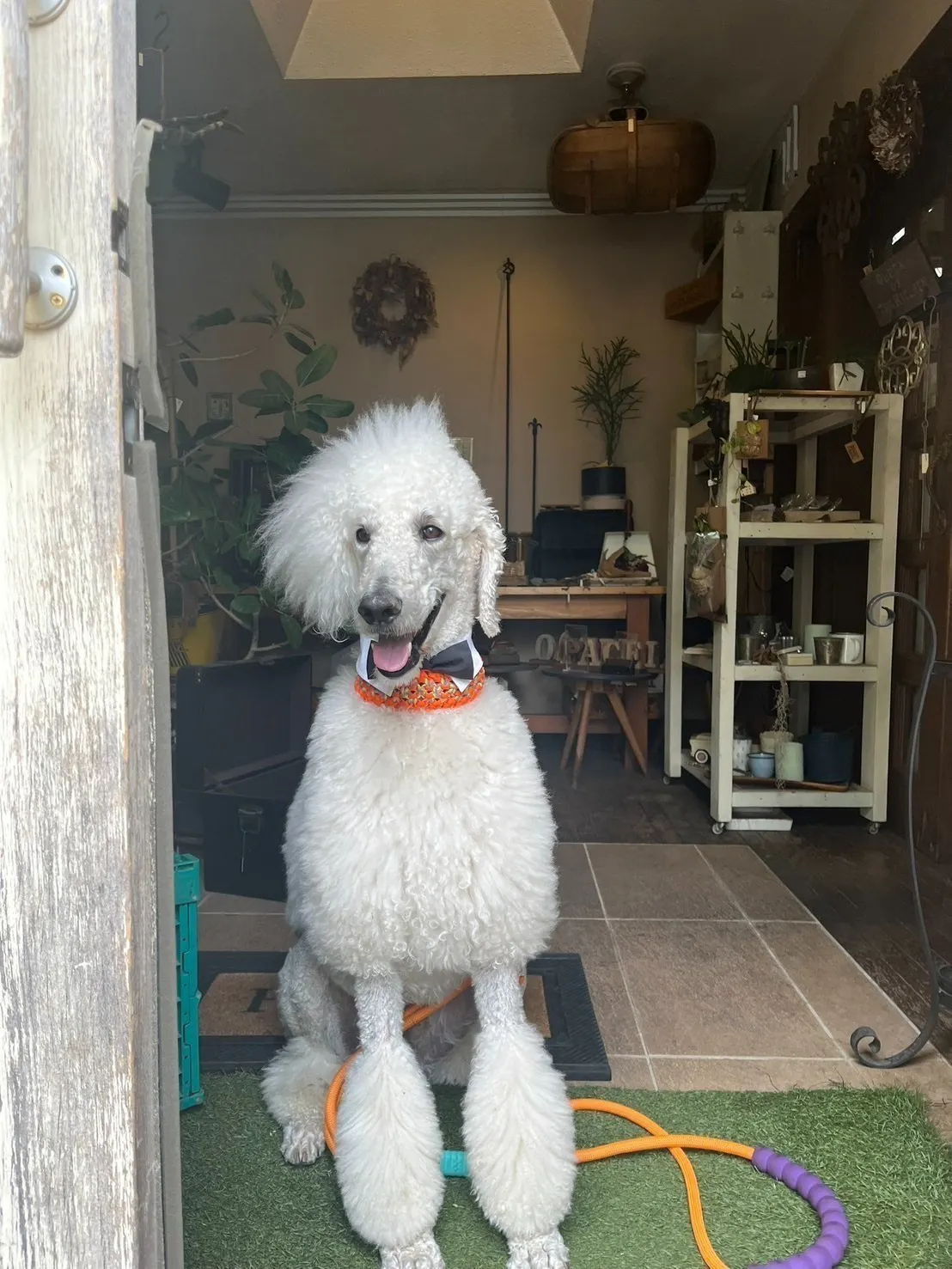 5番目のメイン画像