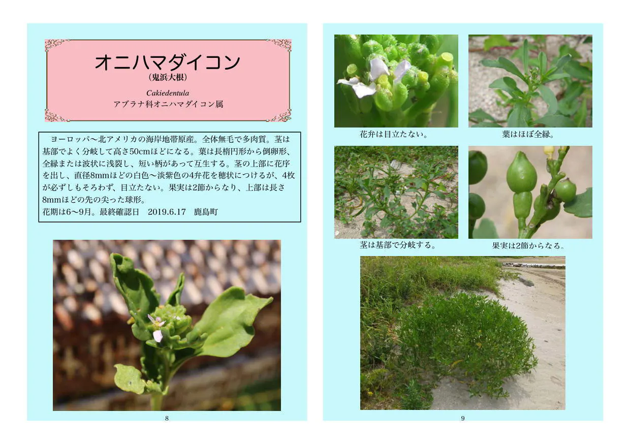 4番目のメイン画像