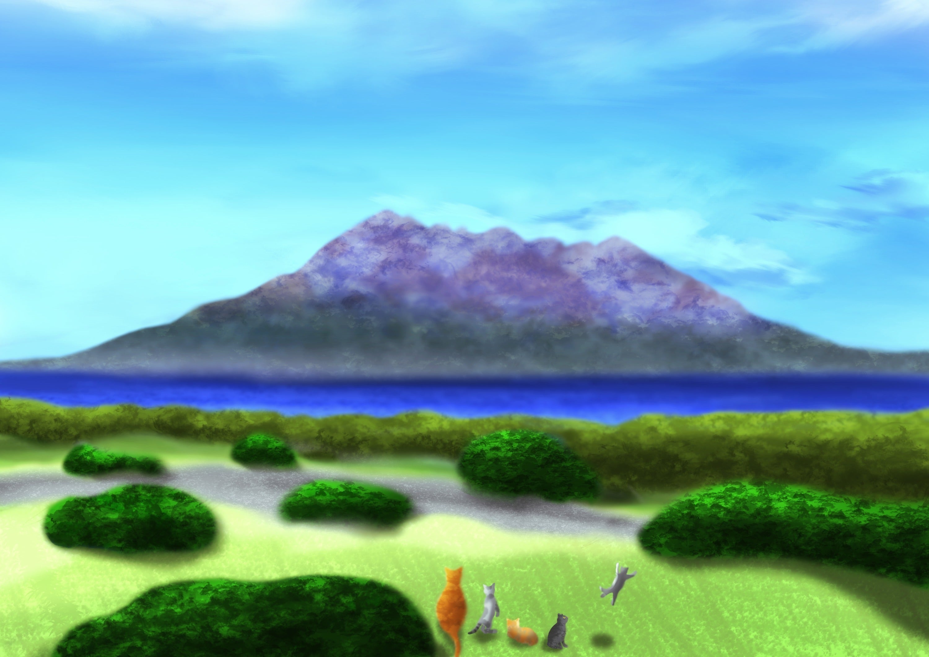 4番目のメイン画像