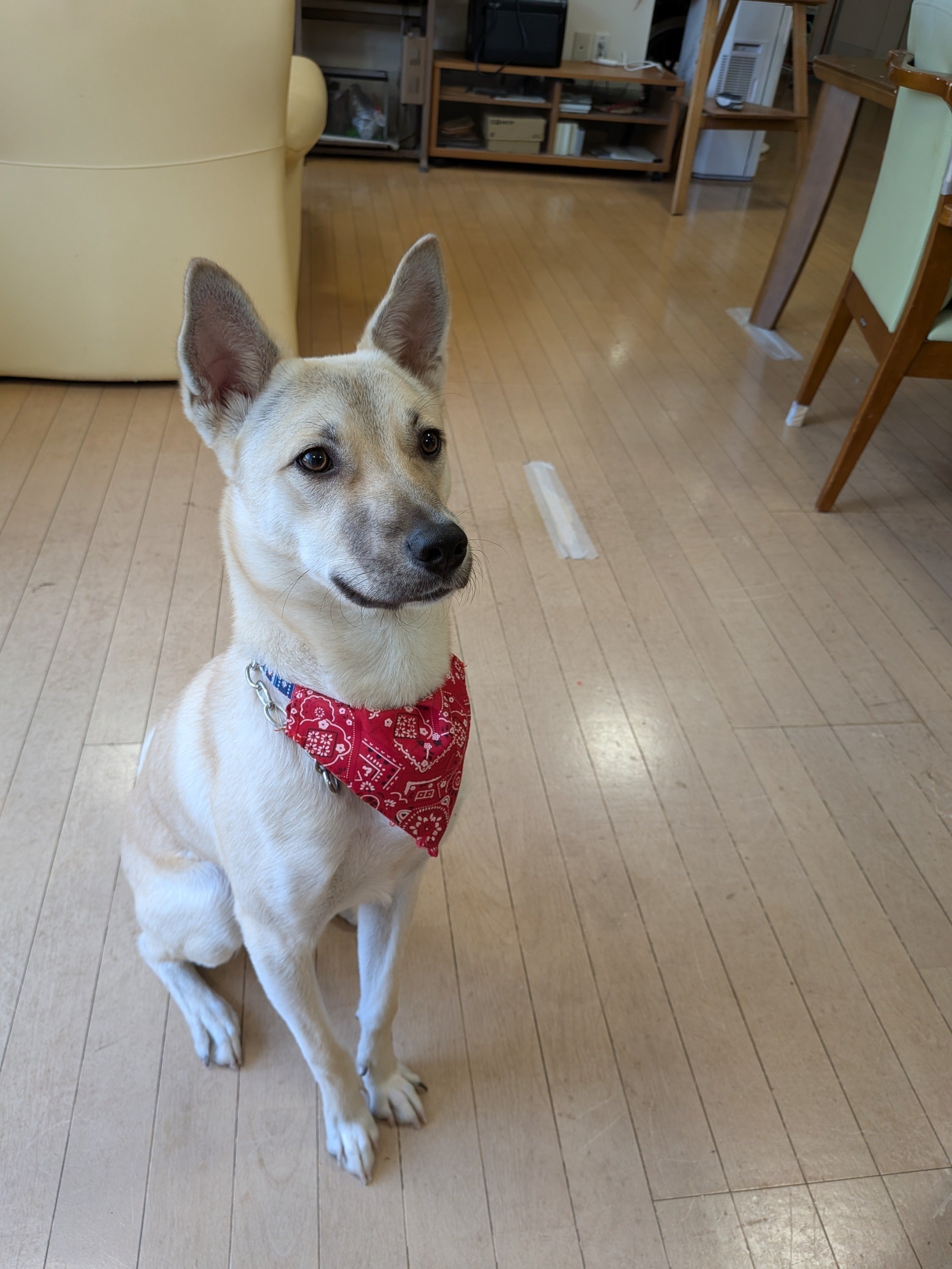 2番目のメイン画像