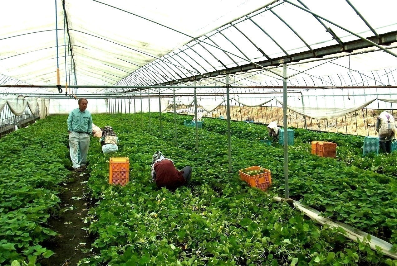 2番目のメイン画像