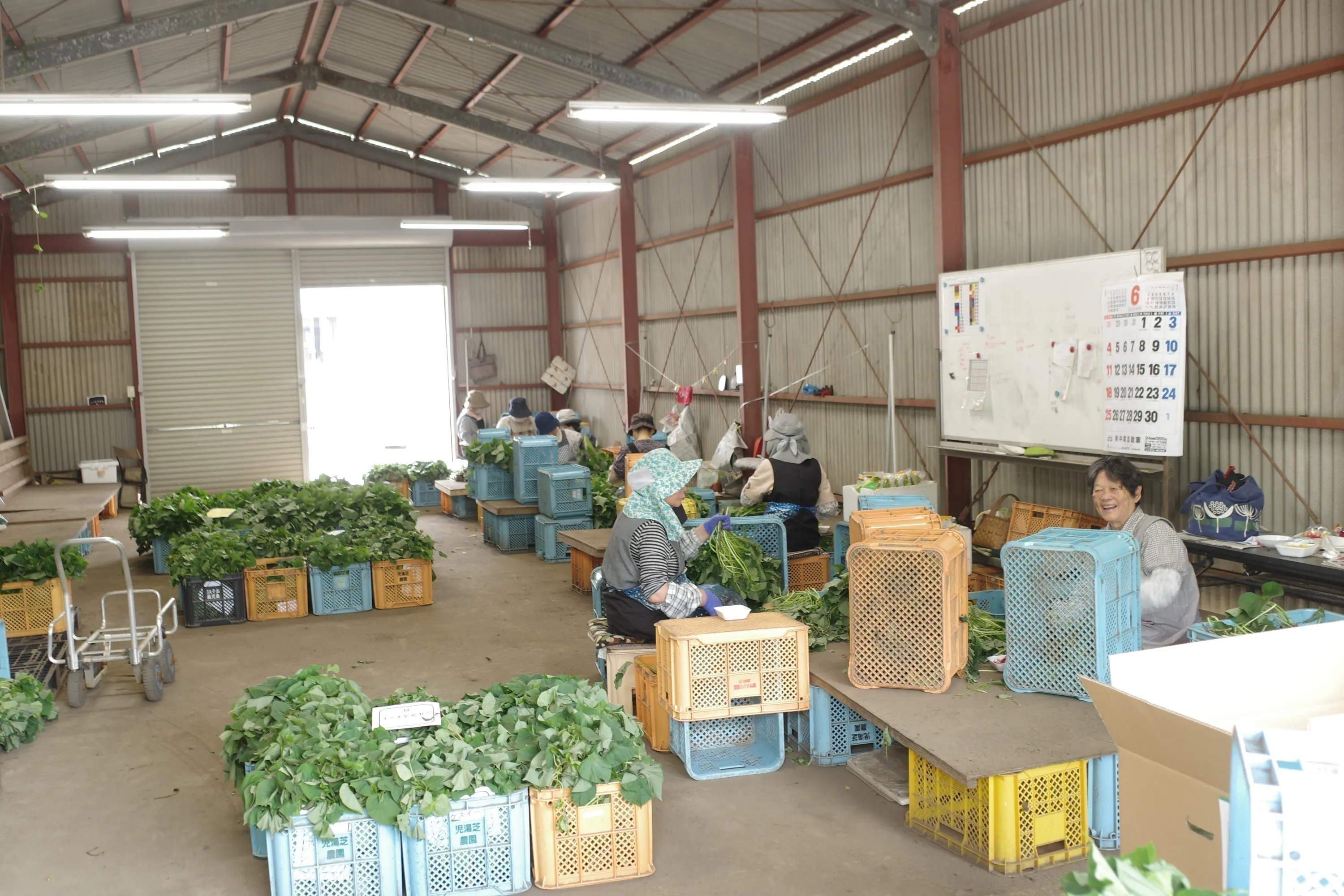 4番目のメイン画像